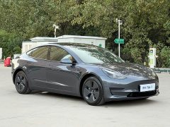 Tesla Model 3 Standard Range RWD Upgrade - ფოტო 3