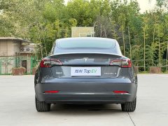 Tesla Model 3 Standard Range RWD Upgrade - ფოტო 8