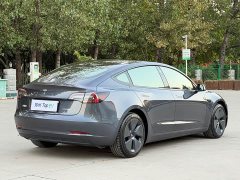 Tesla Model 3 Standard Range RWD Upgrade - ფოტო 9