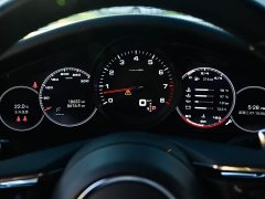 Porsche 2023 Panamera 4 Executive Extended Platinum Edition 2.9T - ფოტო 19
