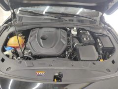 Geely Xingrui 2.0T Diesel Flagship - ფოტო 10