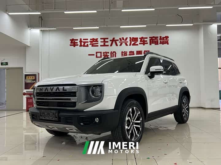 Great Wall Dachshund 1.5T DCT Border Collie Edition