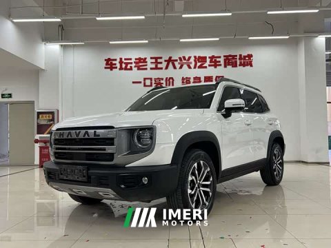 2023 Great Wall Dachshund 2024 1.5T DCT Border Collie Edition - ავტომობილი ჩინეთიდან