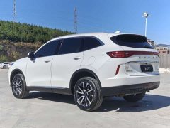 Haval H6 Third Generation 1.5T Automatic Two-Wheel Drive Max - ფოტო 9
