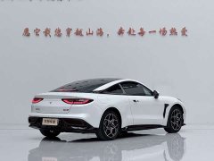 Neta GT 580 AWD Sport - ფოტო 11