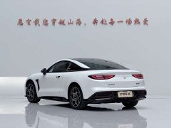 Neta GT 580 AWD Sport - ფოტო 12