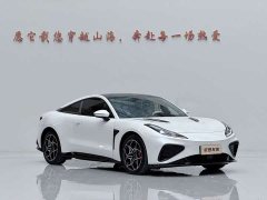Neta GT 580 AWD Sport - ფოტო 14