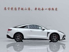 Neta GT 580 AWD Sport - ფოტო 15