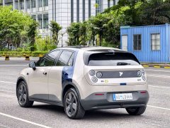 Nio Firefly Luminous Edition - ფოტო 14