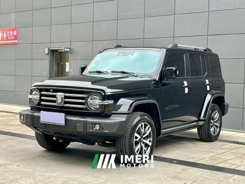 2021 Tank 300 Off-Road Edition 2.0T Conqueror - ავტომობილი ჩინეთიდან