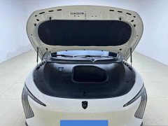 Dongfeng Xinghai S7 650 Ultra-Fast Charging Luxury Edition - ფოტო 11