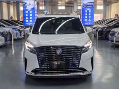 Buick GL8 ES Luxun Luxury Edition - ფოტო 2