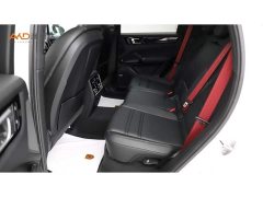 Porsche Cayenne 3.0T Platinum Edition - ფოტო 7