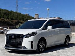 Buick GL8 ES Luxe Enjoyment Edition - ფოტო 1