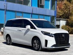Buick GL8 ES Luxe Enjoyment Edition - ფოტო 3