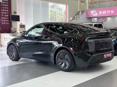 Tesla Model Y Rear-Wheel Drive - ფოტო 8