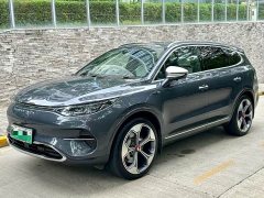Denza X 2020 Pure Electric Flagship Edition - ფოტო 1