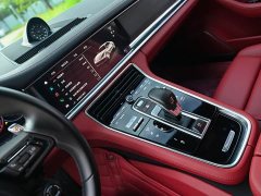Porsche 2023 Panamera Executive Extended Platinum Edition 2.9T - ფოტო 10