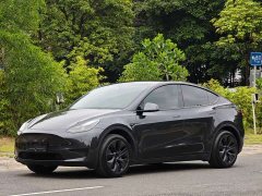 Tesla Model Y Rear-Wheel Drive - ფოტო 1