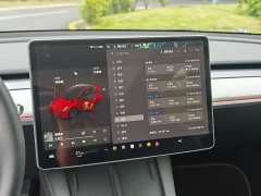 Tesla Model Y Rear-Wheel Drive - ფოტო 15
