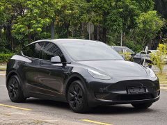 Tesla Model Y Rear-Wheel Drive - ფოტო 3