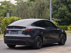 Tesla Model Y Rear-Wheel Drive - ფოტო 4
