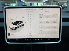 Tesla Model 3 High Performance All-Wheel Drive - ფოტო 10