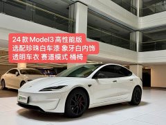 Tesla Model 3 High Performance All-Wheel Drive - ფოტო 2