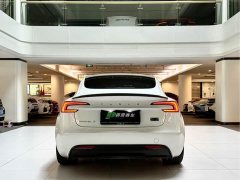 Tesla Model 3 High Performance All-Wheel Drive - ფოტო 5