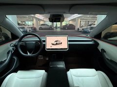Tesla Model 3 High Performance All-Wheel Drive - ფოტო 8