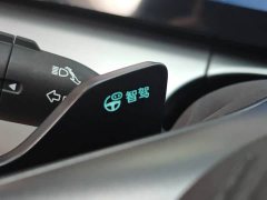 BYD Song L DM-i Smart Drive 112km Exceed - ფოტო 19