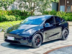 Tesla Model Y 2022 Rear-Wheel Drive - ფოტო 1