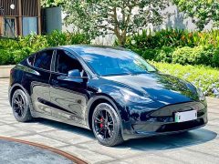 Tesla Model Y 2022 Rear-Wheel Drive - ფოტო 3