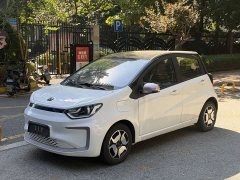 Flower Fairy 302km Luxury 30.2kWh - ფოტო 1