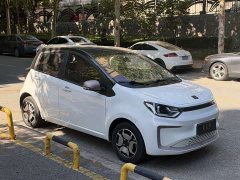 Flower Fairy 302km Luxury 30.2kWh - ფოტო 3