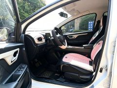 Flower Fairy 302km Luxury 30.2kWh - ფოტო 4