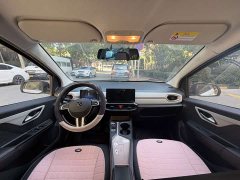 Flower Fairy 302km Luxury 30.2kWh - ფოტო 6
