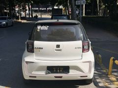 Flower Fairy 302km Luxury 30.2kWh - ფოტო 8