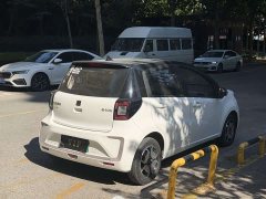 Flower Fairy 302km Luxury 30.2kWh - ფოტო 9