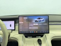 BYD Dolphin 08 EV 785KM AWD Flagship - ფოტო 14