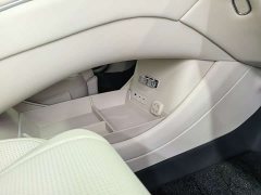 BYD Dolphin 08 EV 785KM AWD Flagship - ფოტო 20
