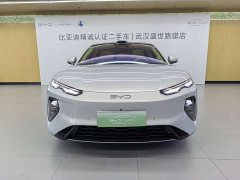BYD Dolphin 08 EV 785KM AWD Flagship - ფოტო 7