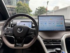 BYD Song Pro New Energy Champion Edition DM-i 110KM Excellence - ფოტო 18