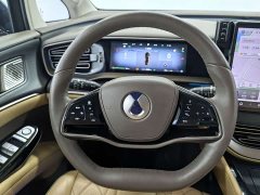 Denza D9 2022 DM-i 970 AWD Flagship - ფოტო 12