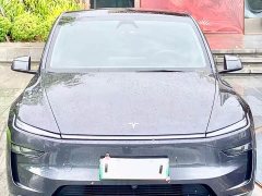 Tesla Model Y Rear-Wheel Drive - ფოტო 2