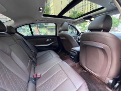 BMW 3 Series 320Li M Sport Package - ფოტო 13