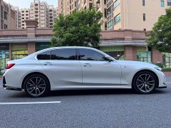 BMW 3 Series 320Li M Sport Package - ფოტო 4