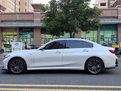 BMW 3 Series 320Li M Sport Package - ფოტო 8