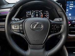 Lexus ES 200 Premium Edition - ფოტო 16
