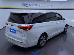 Buick GL8 ES Land Respect 653T Respect Enjoyment Edition - ფოტო 3